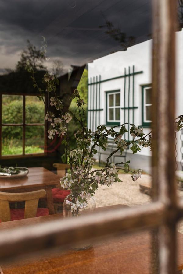 Haus Enzian Apartment Hinterstoder Exterior photo